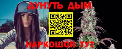 сатива Краснодар