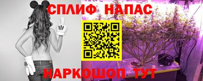 сатива Краснодар