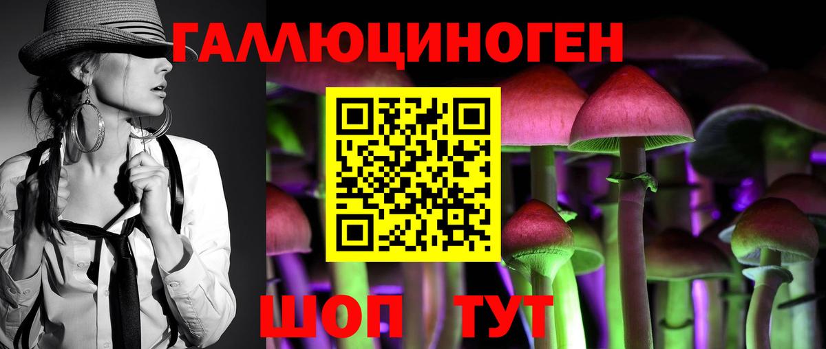 Галлюциногенные грибы Psilocybe Красногорск