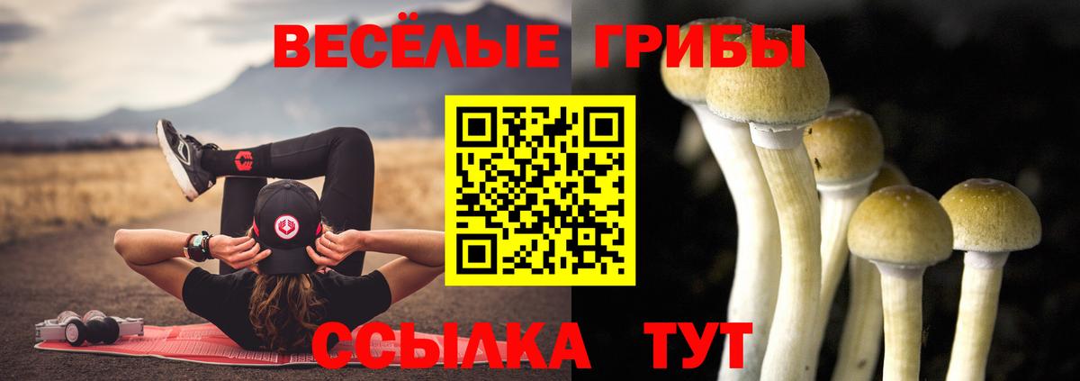 Галлюциногенные грибы прущие грибы  Вход с VPN  купить  сайты  Галлюциногенные грибы Psilocybe  Красногорск 
